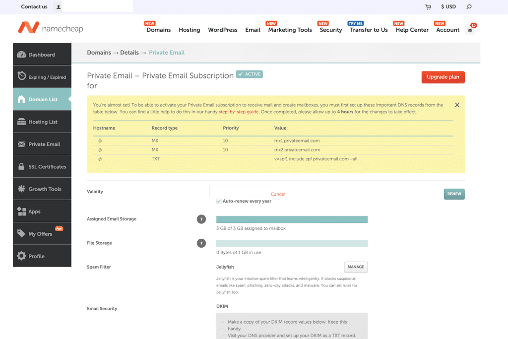 Namecheap Private Email abonnementsdetailpagina met benodigde DNS-records voor MX, SPF en DKIM configuratie